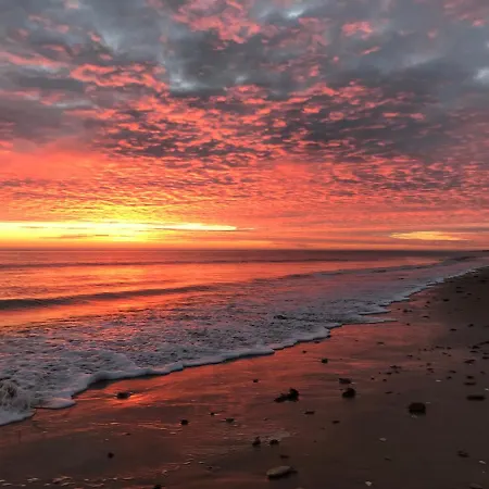 캠프장 Les Violettes