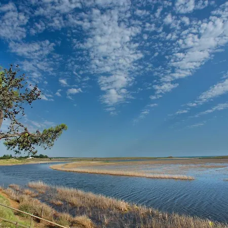 Les Violettes 4* 라포트 쉬르메르