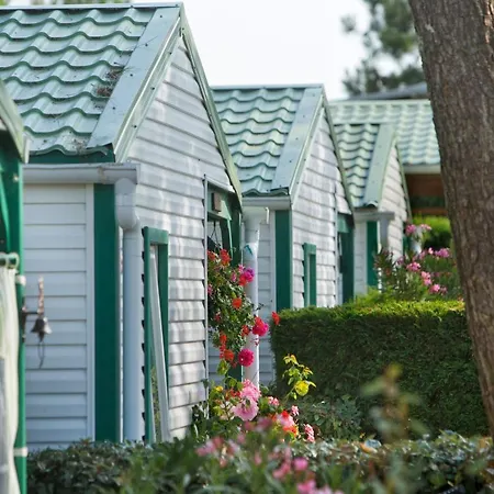 캠프장 Les Violettes 라포트 쉬르메르