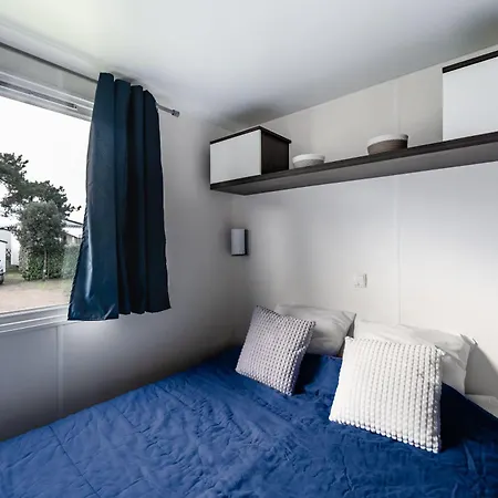 Les Violettes 라포트 쉬르메르