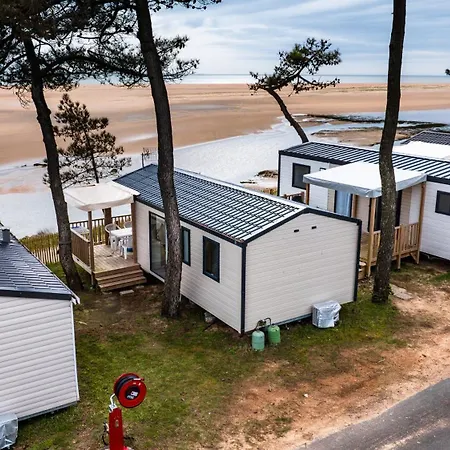 Les Violettes 라포트 쉬르메르