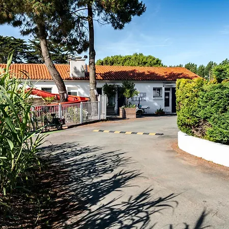 Campsite Les Violettes 4*