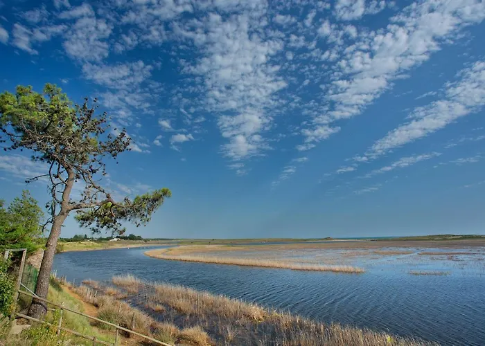 Les Violettes 4* La Faute-sur-Mer