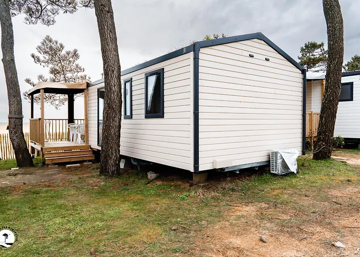 Les Violettes Kemping