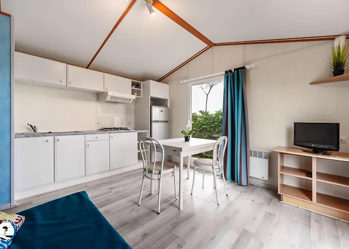 Les Violettes Kamp alanı