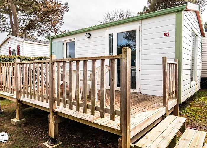 Les Violettes Kamp alanı 4*